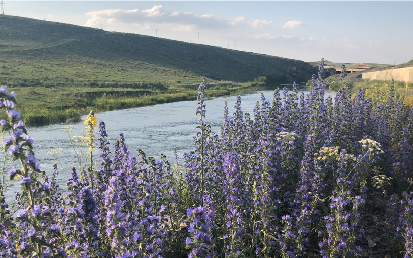 Kars'ta kartpostallık görüntüler ortaya çıktı, rengarenk çiçekler - Resim: 2
