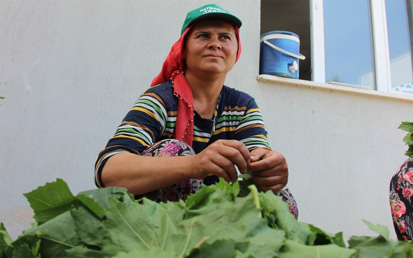 Yaprak toplayarak haftada 2 bin 500 lira kazanıyorlar - Resim: 2