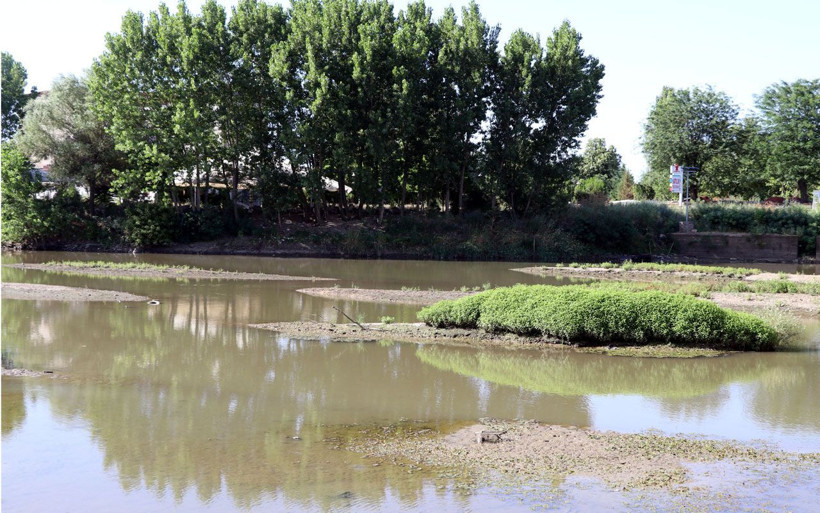 Tunca Nehri'nde kum adacıkları oluştu - Resim: 4