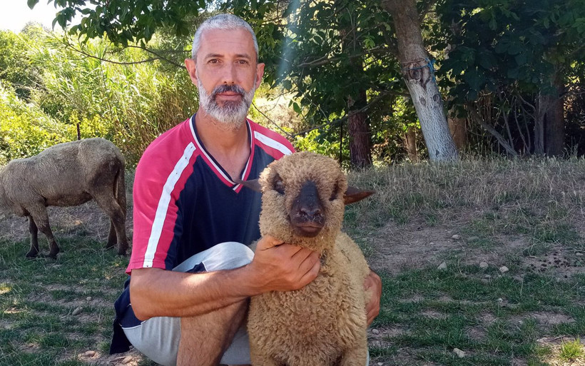 Bu koyunların doğmamış kuzuları için sıra veriliyor - Resim: 1