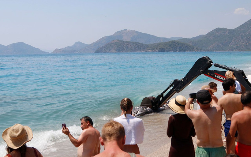 Muğla Fethiye'de ölü balina kıyıya vurdu - Resim: 1