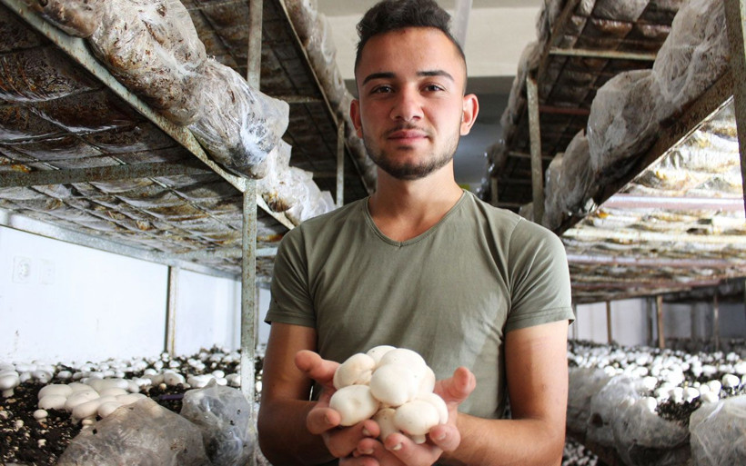 Aksaray'da 3 kişinin çalıştığı tesisi devraldı! Şimdi ise ayda 25 ton mantar üretimi yapıyor - Resim: 2