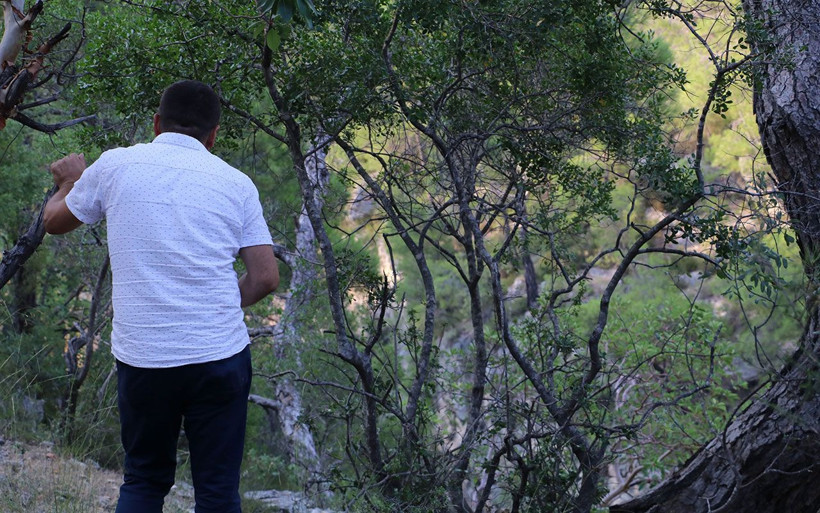 Antalya'da uçurumda erkek cesedi bulundu - Resim: 2