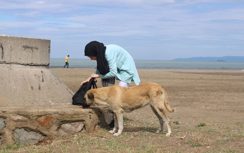 Merhametin böylesi! Genç kız sokak hayvanlarını beslemek için her gün aç gezdi - Resim: 2