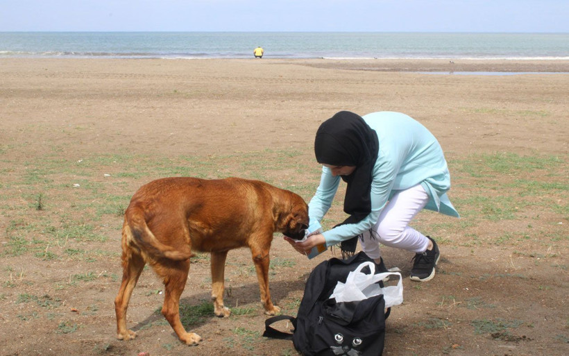 Merhametin böylesi! Genç kız sokak hayvanlarını beslemek için her gün aç gezdi - Resim: 4