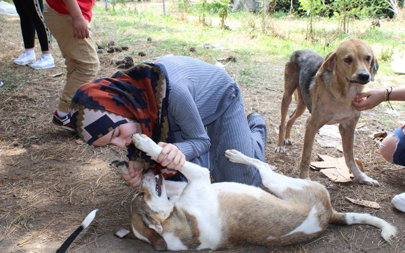 Merhametin böylesi! Genç kız sokak hayvanlarını beslemek için her gün aç gezdi - Resim: 1
