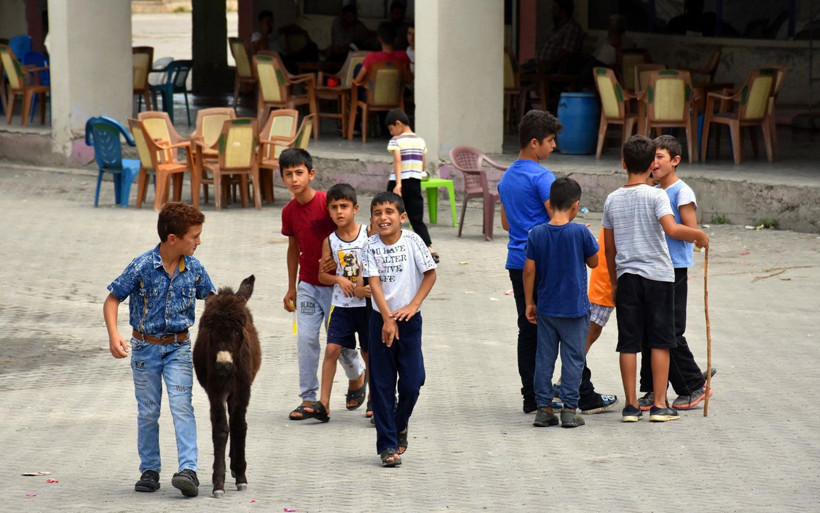 Muş'ta 4 aylıkken annesi ölen sıpaya sahip çıktılar! Özsüz sıpa beldenin maskotu oldu - Resim: 4