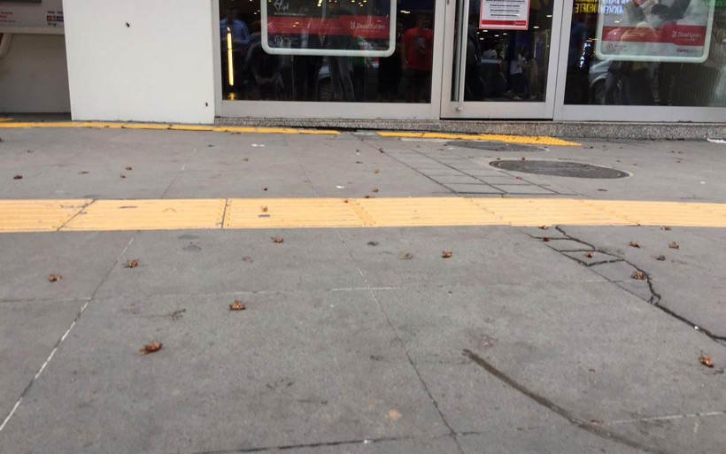 Trabzon’un en işlek caddesinde tehlike saçan böcek istilası Vatandaş neye uğradığını şaşırdı - Resim: 2