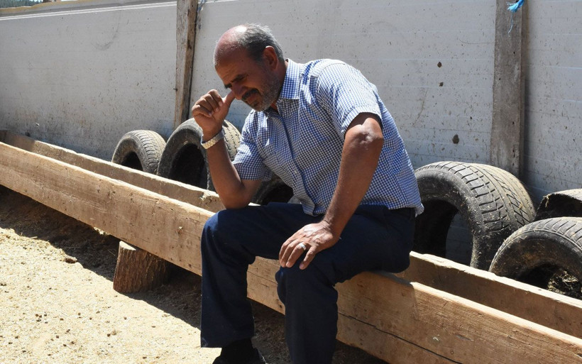 40 koyunu çalınınca dünyası başına yıkıldı hırsızlara seslendi - Resim: 4