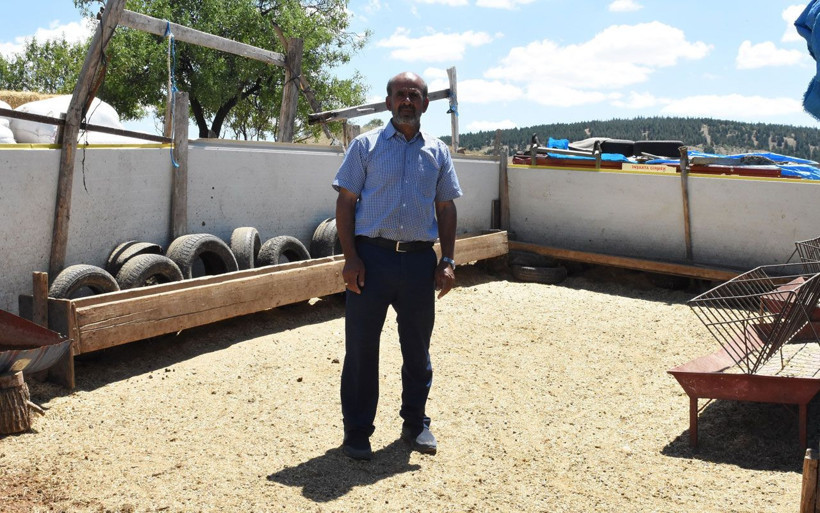 40 koyunu çalınınca dünyası başına yıkıldı hırsızlara seslendi - Resim: 2