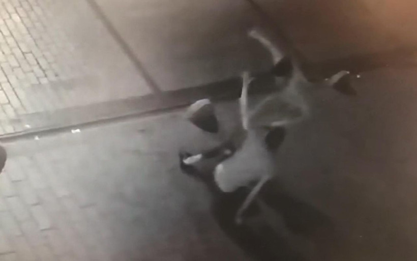 İstanbul'da gece yarısı dehşet anları - Resim: 2