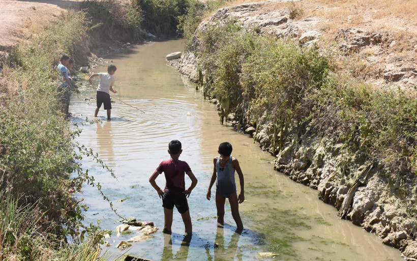 Çalışma nedeniyle suyu kesilince kanaldaki balıklar telef oldu - Resim: 3