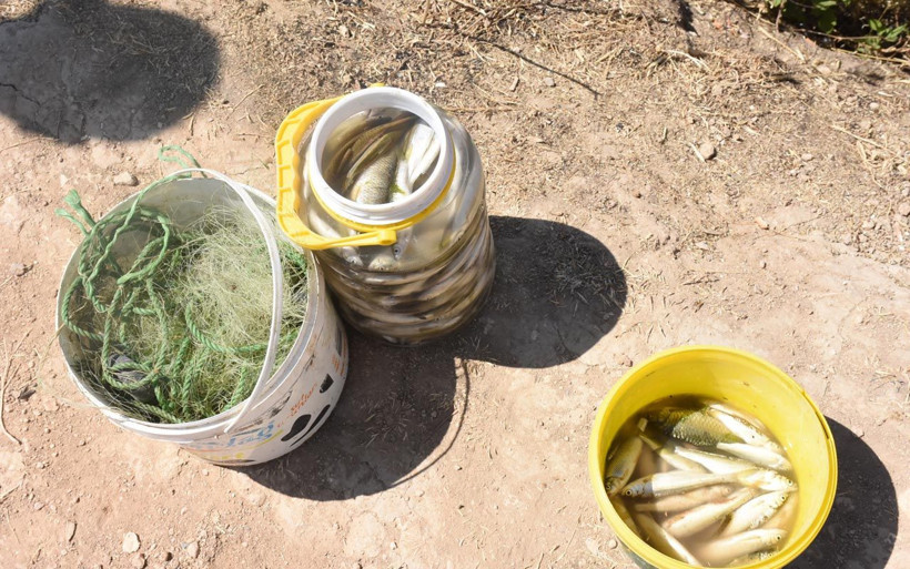 Çalışma nedeniyle suyu kesilince kanaldaki balıklar telef oldu - Resim: 4