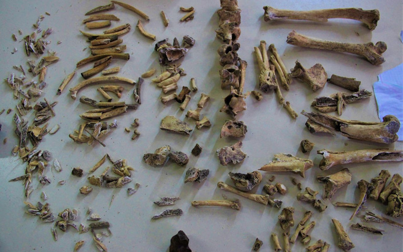 İnsanların ilginç beslenme alışkanlığı! Köpek etini pişirerek tüketiyorlarmış - Resim: 4