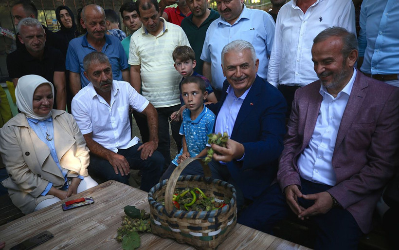 Binali Yıldırım fındık bahçesinde fındık topladı - Resim: 3