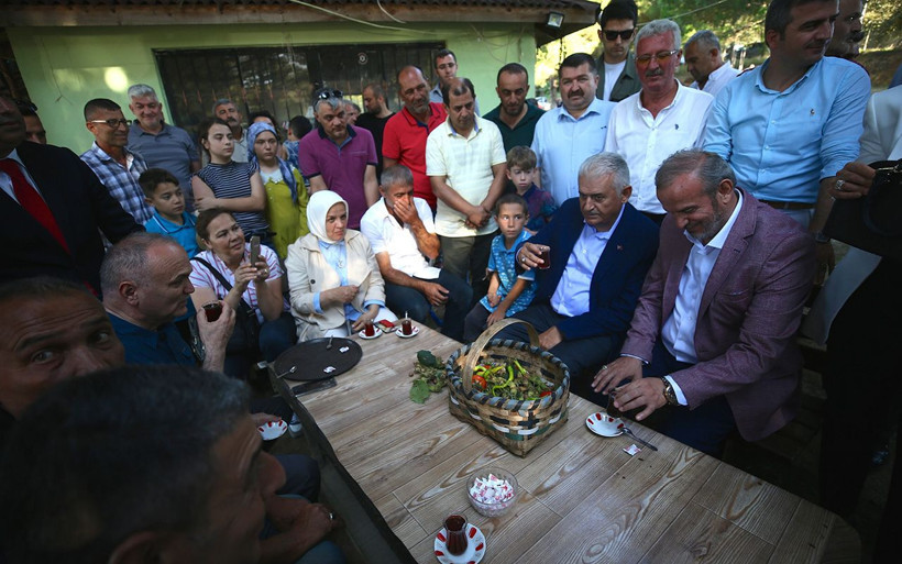 Binali Yıldırım fındık bahçesinde fındık topladı - Resim: 4