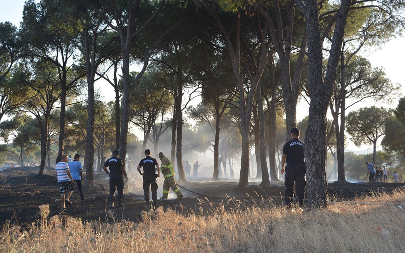 Balıkesir Ayvalık'ta sigara izmariti ormanı yaktı - Resim: 4