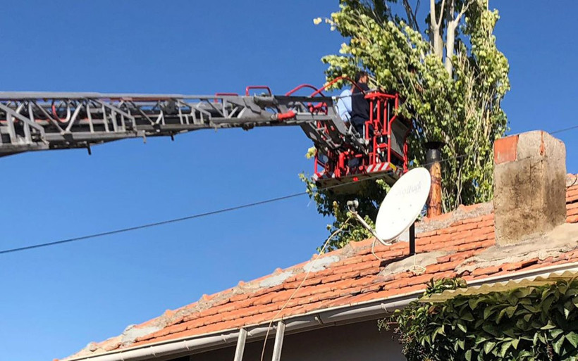 Aksaray'da ağaç budarken kafası ipe dolanan şahıs hayatını kaybetti - Resim: 1