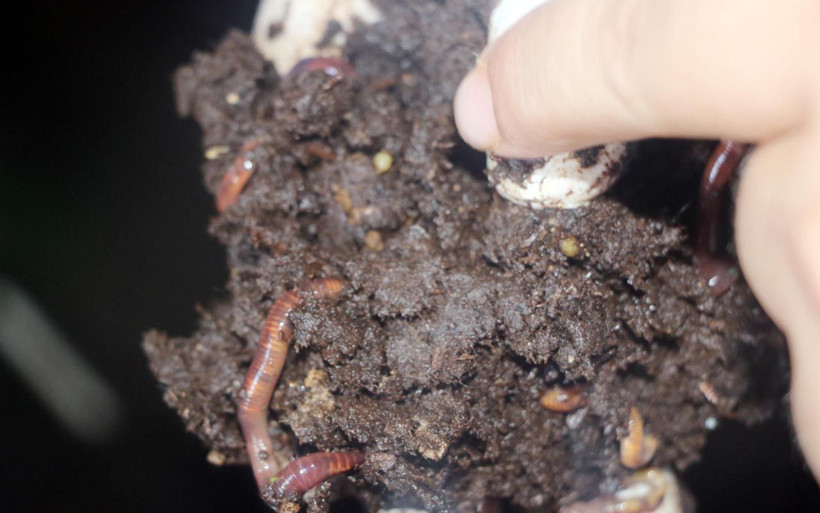 İşe başlarken dalga geçmişlerdi! Şimdi 2 ton üretiyor taleplere yetişemiyor - Resim: 2