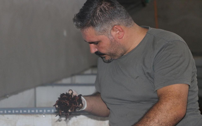 İşe başlarken dalga geçmişlerdi! Şimdi 2 ton üretiyor taleplere yetişemiyor - Resim: 3