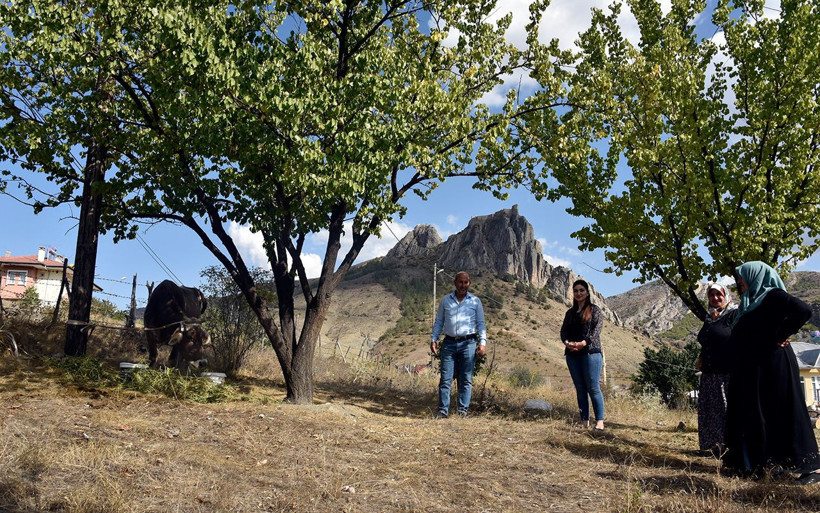 Bayburt’tan kaçan firari inek Gümüşhane’de bulundu - Resim: 4