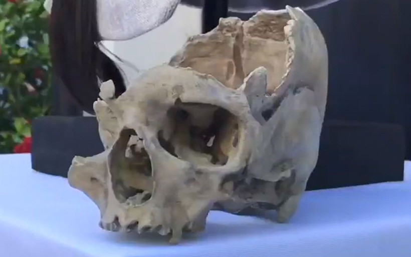 Sadece kafatasıyla bu hale geldi işte tam 7500 yıllık Anadolu kadını - Resim: 1