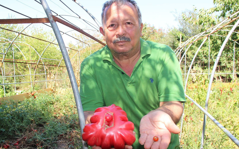 Bir buçuk dönüm arazide yerli tohumdan bin bir çeşit ürün yetiştiriyor! Görenler hayrete düşüyor - Resim: 1