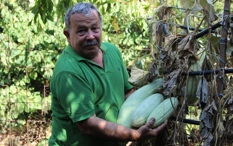 Bir buçuk dönüm arazide yerli tohumdan bin bir çeşit ürün yetiştiriyor! Görenler hayrete düşüyor - Resim: 4