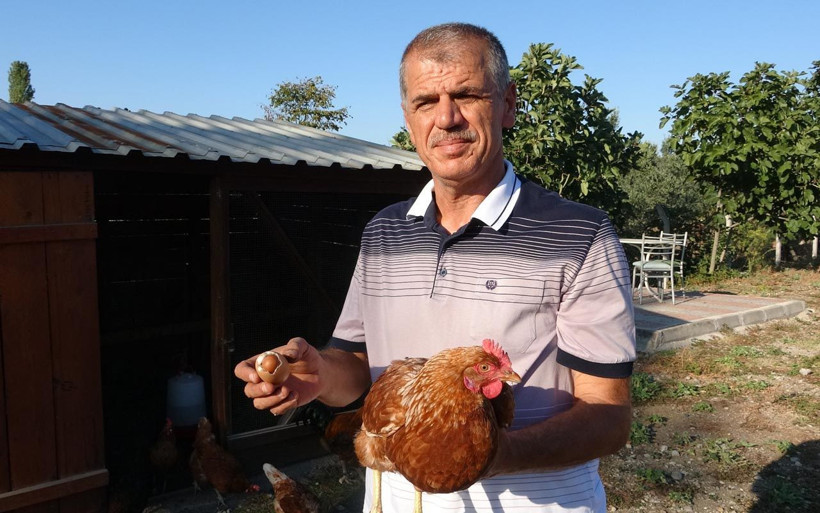 Bahçesinde yetiştirdiği tavukların yumurtasının içinden çıktı! Akıllara durgunluk verdi! - Resim: 4