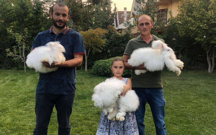 Görenler gözlerine inanamıyor tüyü astronot kıyafetlerinde kullanılıyor - Resim: 4