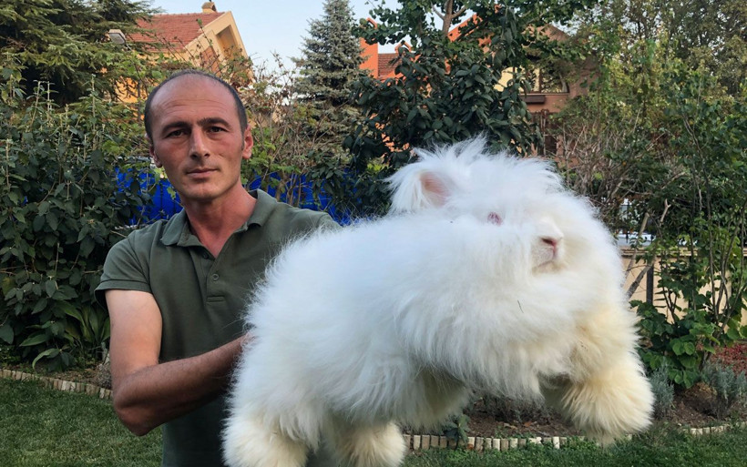 Görenler gözlerine inanamıyor tüyü astronot kıyafetlerinde kullanılıyor - Resim: 2