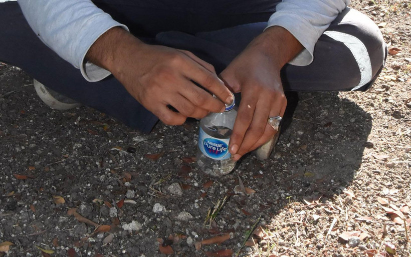 Alaçatı'da 40 yıl sonra bir ilk kilosu tam 300 euro olarak belirlendi - Resim: 1