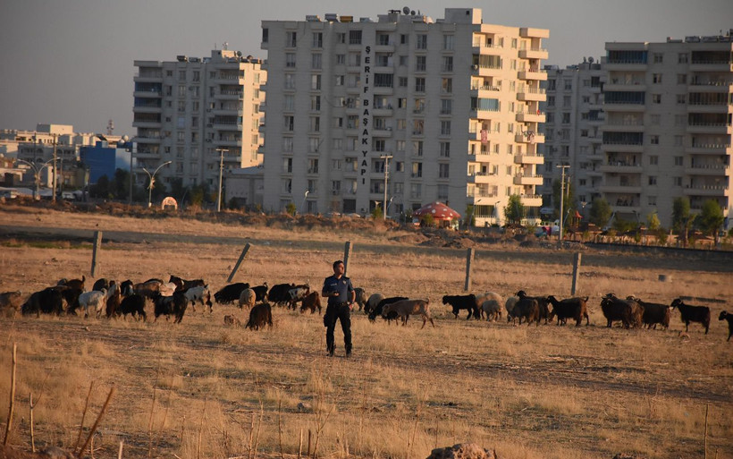 Mardin'de yerde bulduğu cisim elinde patlayan çoban ağır yaralandı - Resim: 4