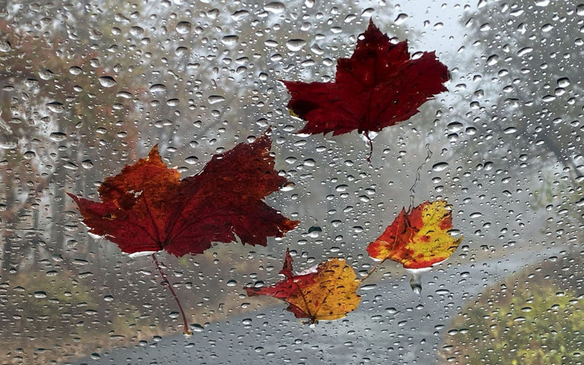 Meteorolojiden bir iyi bir kötü haber! Yağmurdan sonra pastırma sıcakları geliyor - Resim: 4