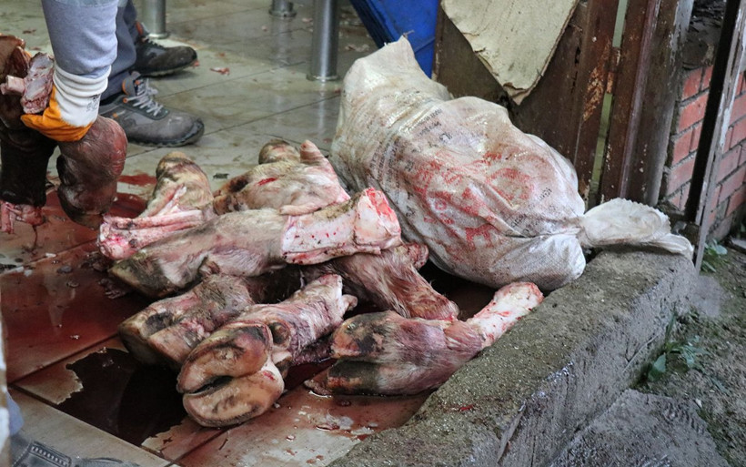 Sakarya'da 20 ton kaçak et ve sakatat ele geçirildi - Resim: 1