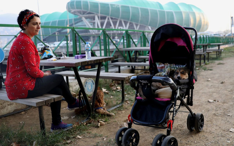 Görenler deli sanıyor! Bebek arabasıyla köpeğini gezdirmesinin bir sebebi var - Resim: 2