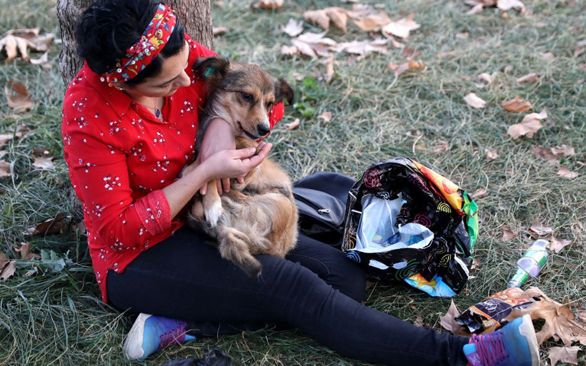 Görenler deli sanıyor! Bebek arabasıyla köpeğini gezdirmesinin bir sebebi var - Resim: 4