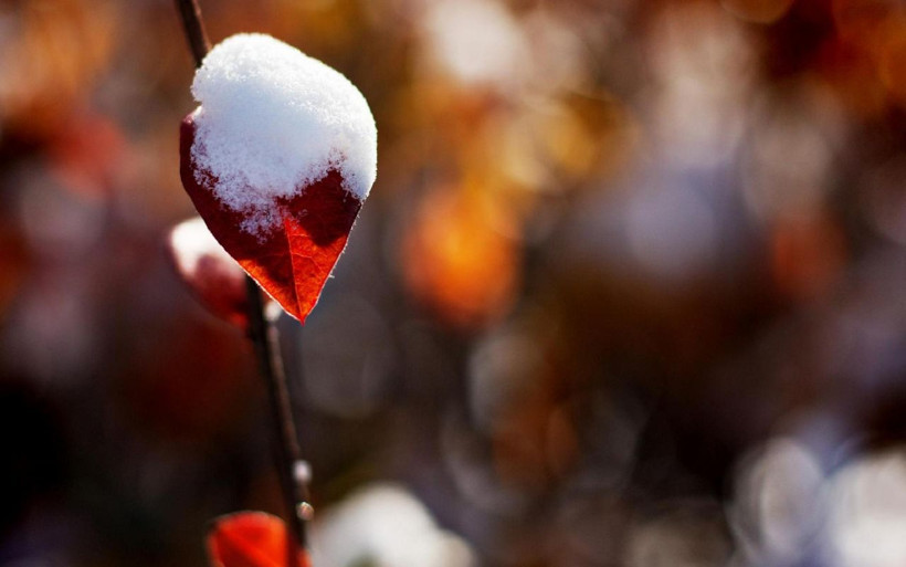 Meteoroloji duyurdu: Kar geliyor! Yurdun büyük kesimi sağanak etkisi altında - Resim: 3