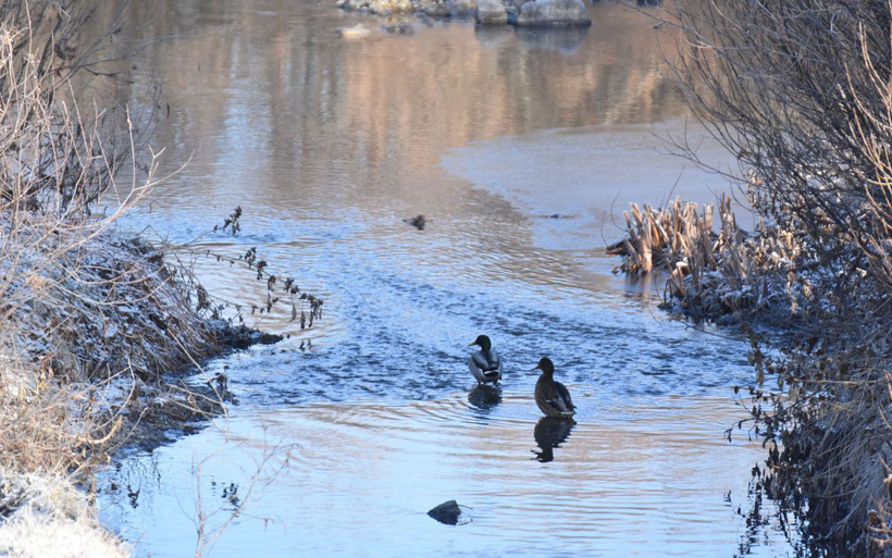 Meteoroloji'den karla karışık yağmur ve kar uyarısı! Donacağız - Resim: 2