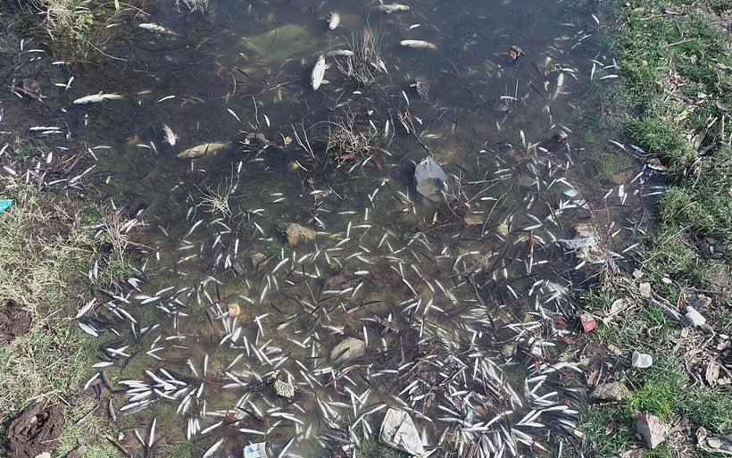 Karabük'te çevre katliamına neden olan fabrikalara 360 bin TL ceza kesildi - Resim: 4