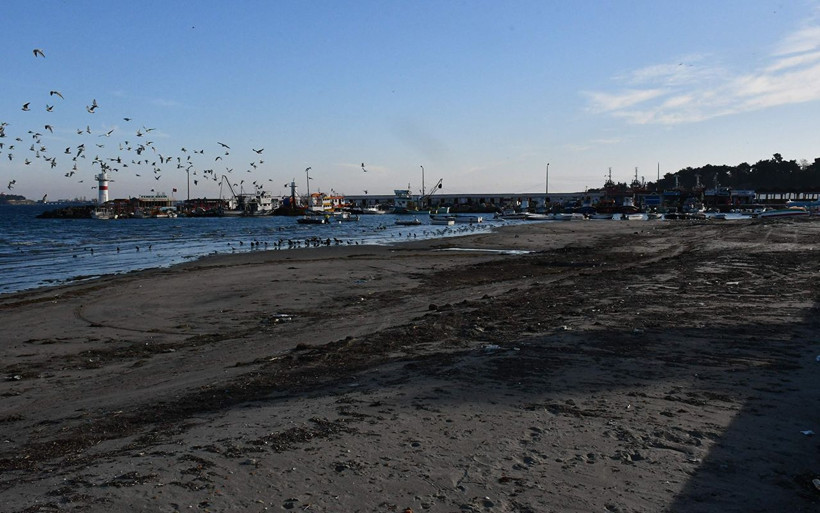Tekirdağ Marmaraereğlisi'nde deniz 30 metre çekildi - Resim: 2