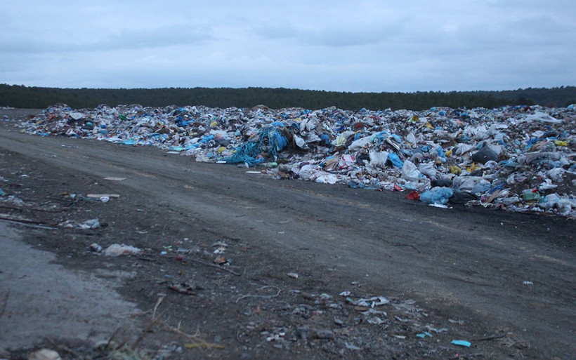 Uşak'ta çöplükte 21 köpek ölü bulundu - Resim: 1