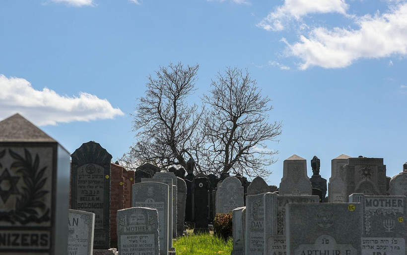 ABD'de koronavirüs vaka sayısı 1 milyonu aştı - Resim: 3