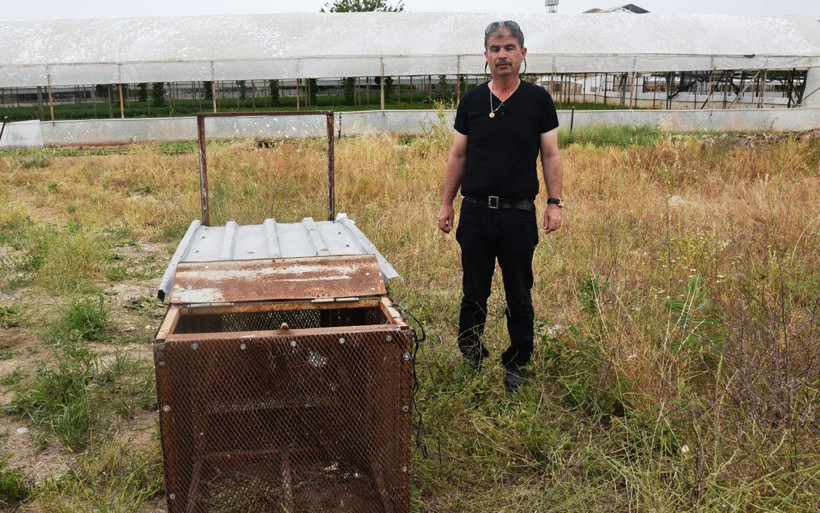 Antalya'da 150 tavuğunu telef eden tilkiyi Türk filmiyle yakaladı - Resim: 4