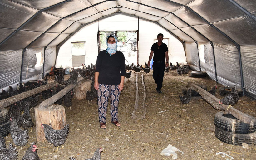 Antalya'da 150 tavuğunu telef eden tilkiyi Türk filmiyle yakaladı - Resim: 2