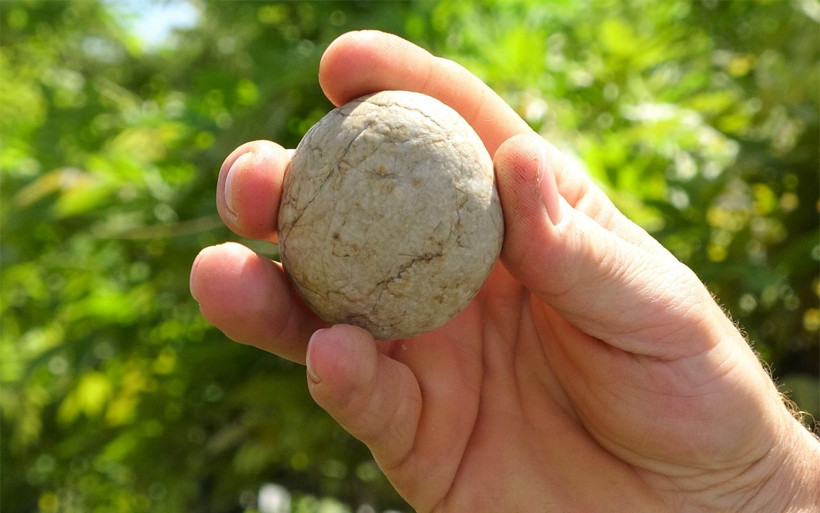 Ordu'da bulunan gizemli taş! 200 bin dolar verildi bankaya koydu - Resim: 4