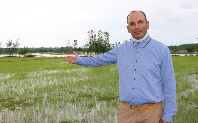 Samsun'da rengini gören 'Boyalı' diye şikayet ediyor! Faydaları saymakla bitmiyor - Resim: 4