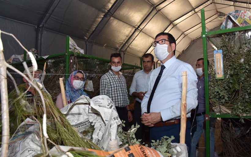 Muğla'da merakla başladı girişimci oldu 3 çocuk annesi böcek üretip ipini satıyor - Resim: 3