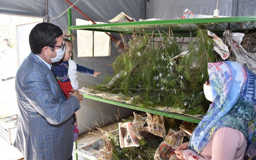 Muğla'da merakla başladı girişimci oldu 3 çocuk annesi böcek üretip ipini satıyor - Resim: 1