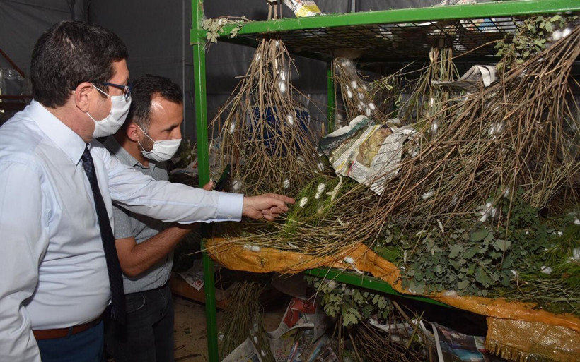 Muğla'da merakla başladı girişimci oldu 3 çocuk annesi böcek üretip ipini satıyor - Resim: 2